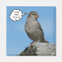 Lieblicher Ansichtsmagnet