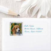 Lieblicher Beagle (Insitu)