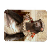 Lieblicher Chimp in Gown Magnet (Horizontal)