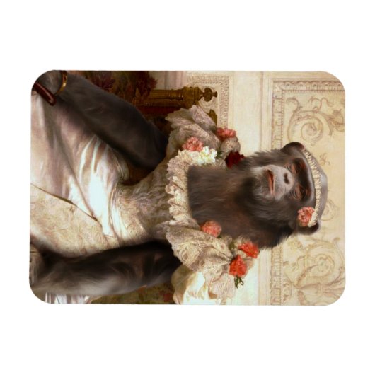 Lieblicher Chimp in Gown Magnet (Horizontal)