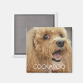 Lieblicher Cockapoo Hund lächeln Magnet (Vorderseite/Rückseite)