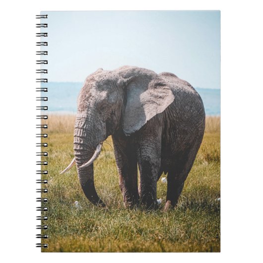 LIEBLICHER ELEFANT NOTIZBLOCK (Vorderseite)