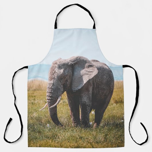 LIEBLICHER ELEFANT SCHÜRZE (Vorderseite)