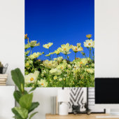 Lieblicher gelber Kosmos Clear Blue Sky Blume Fiel Poster (Heimbüro)