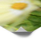 Lieblicher gelber Kosmos Clear Blue Sky Blume Fiel Poster (Ecke)