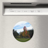 Lieblicher Herbsttag... Magnet (In Situ (Geschirrspüler))