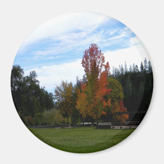 Lieblicher Herbsttag... Magnet (Vorne)