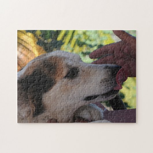 Lieblicher Hund - Spiel mit ihrem eigenen Foto Puz Puzzle (Horizontal)