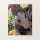 Lieblicher Hund - Spiel mit ihrem eigenen Foto Puz Puzzle (Vertikal)