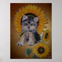 Lieblicher kleiner Hund und Sonnenblumen Poster