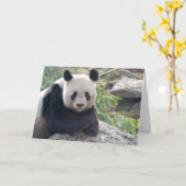 Lieblicher Riant Panda Karte (Gelbe Blume)