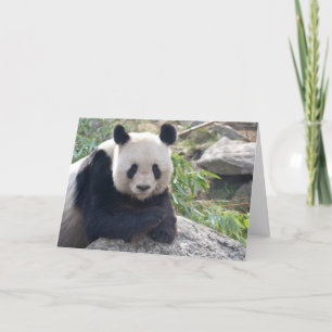 Lieblicher Riant Panda Karte