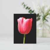 Lieblicher Single Tulip Bloom Postkarte (Stehend Vorderseite)
