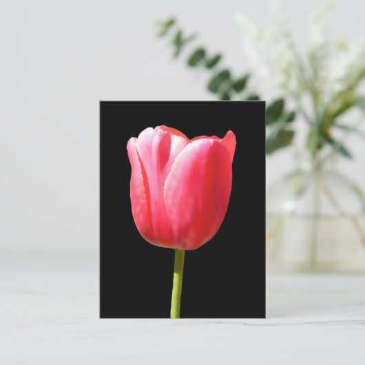 Lieblicher Single Tulip Bloom Postkarte (Stehend Vorderseite)