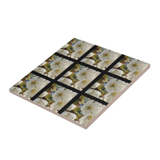 Lieblicher Springflower Grid Fliese (Seite)