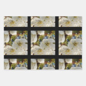 Lieblicher Springflower Grid Geschenkpapier Set (Vorderseite 2)