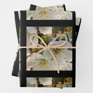 Lieblicher Springflower Grid Geschenkpapier Set