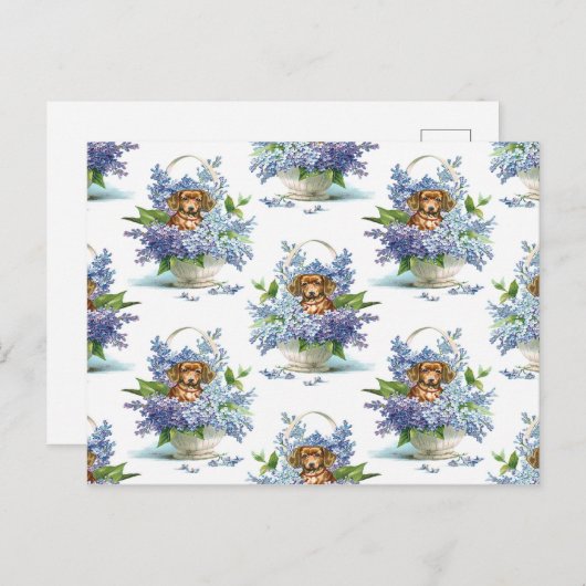 Lieblicher Vintager Hund einer Dackel Postkarte (Vorne/Hinten)