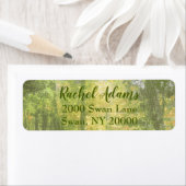 Lieblicher Wald (Insitu)