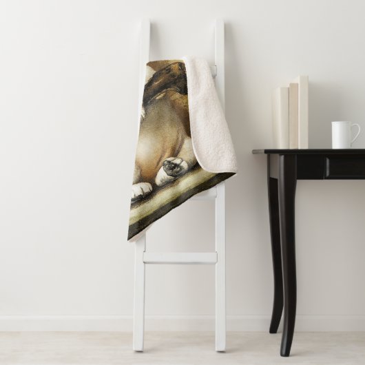 Lieblicher Welpe Sherpadecke (Beispiel)