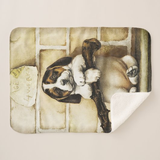 Lieblicher Welpe Sherpadecke (Vorderseite (Horizontal))