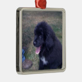 Lieblicher Welpe von Newfundland Ornament Aus Metall (Rechts)