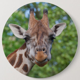 Liebliches Giraffe-Portrait Button