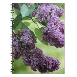 Liebliches Spring Notebook Notizblock