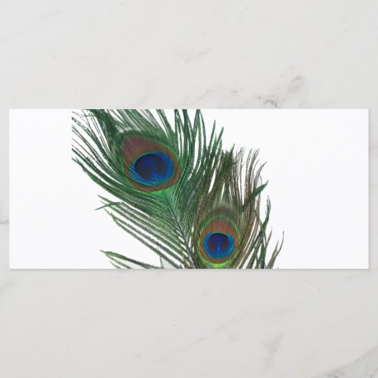 Liebliches White Peacock Wedding Programm (Rückseite)