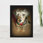 Liebling, der an dich denkt karte (Vorderseite)