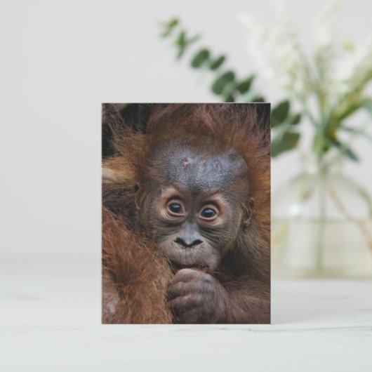 Liebling Postkarte (Stehend Vorderseite)