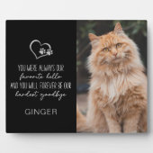 Lieblings-Hallo Hardest Goodbye Cat Memorial Fotoplatte (Vorderseite)