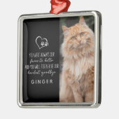 Lieblings-Hallo Hardest Goodbye Cat Memorial Ornament Aus Metall (Links)
