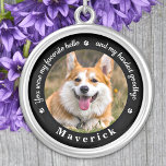 Lieblings-Hallo Hardest Goodbye Foto Memorial Versilberte Kette<br><div class="desc">Ehre deinen besten Freund mit einer eigenen Foto-Gedenkstätte Halskette. Dieser einzigartige Denkmalschutz ist das perfekte Geschenk für sich selbst, Familie oder Freunde, um Ihre Liebsten zu ehren. Diese einzigartige Hundeschlittenhalskette zeichnet sich durch ein einfaches Schwarz-Weiß-Design mit dekorativen Schriften aus. Zitat "Du warst mein Lieblings-Hallo und mein schwerster Abschied". Passen Sie...</div>