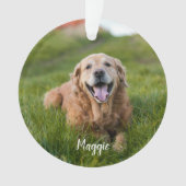 Lieblings-Hallo Hardest Goodbye Pet Foto Memorial Ornament (Vorderseite)