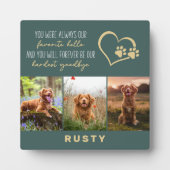 Lieblings-Hallo Hardest Goodbye Pet Memorial Fotoplatte (Vorderseite)