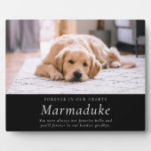 Lieblings-Hallo Hardest Goodbye Pet Memorial Fotoplatte (Vorderseite)