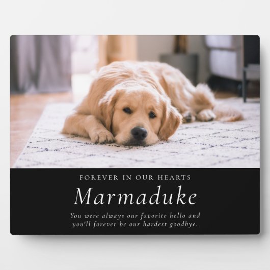 Lieblings-Hallo Hardest Goodbye Pet Memorial Fotoplatte (Vorderseite)