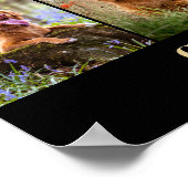 Lieblings-Hallo Hardest Goodbye Pet Memorial Poster (Ecke)