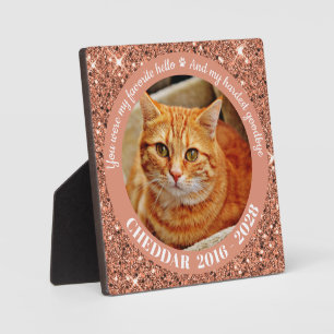 Lieblings-Hallo Härtestes Lebewohl Rose Gold Haust Fotoplatte