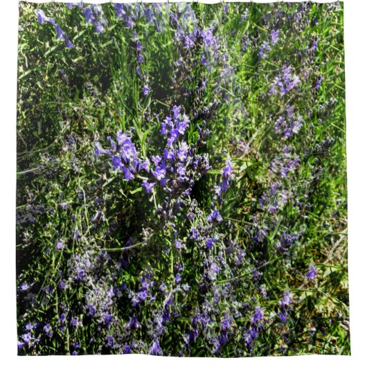 Lieblings-Lavendel...... Duschvorhang (Vorderseite)