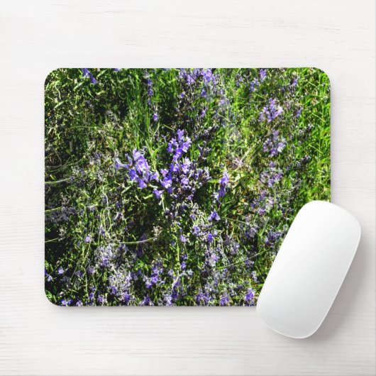 Lieblings-Lavendel...... Mousepad (Mit Mouse)