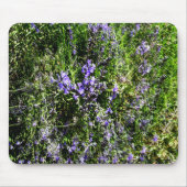 Lieblings-Lavendel...... Mousepad (Vorne)