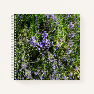 Lieblings-Lavendel...... Notizblock