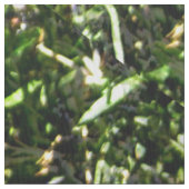 Lieblings-Lavendel...... Stoff (Nahaufnahme)