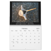 LieblingsAtheismus-Zitate Kalender (Feb 2027)