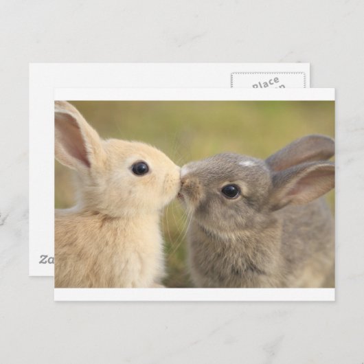 Lieblingshasen Postkarte (Vorne/Hinten)