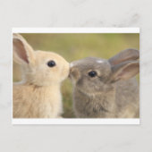 Lieblingshasen Postkarte (Vorderseite)