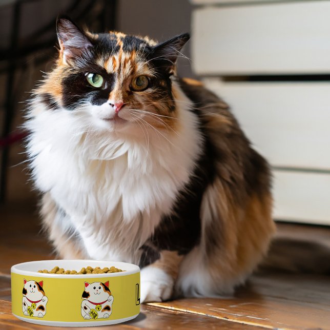 Lieblingskatze Napf (Von Creator hochgeladen)