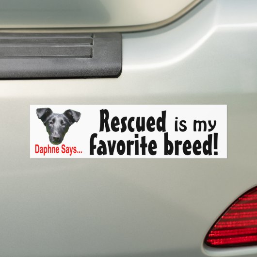 Lieblingszucht Autoaufkleber (Auf Auto)